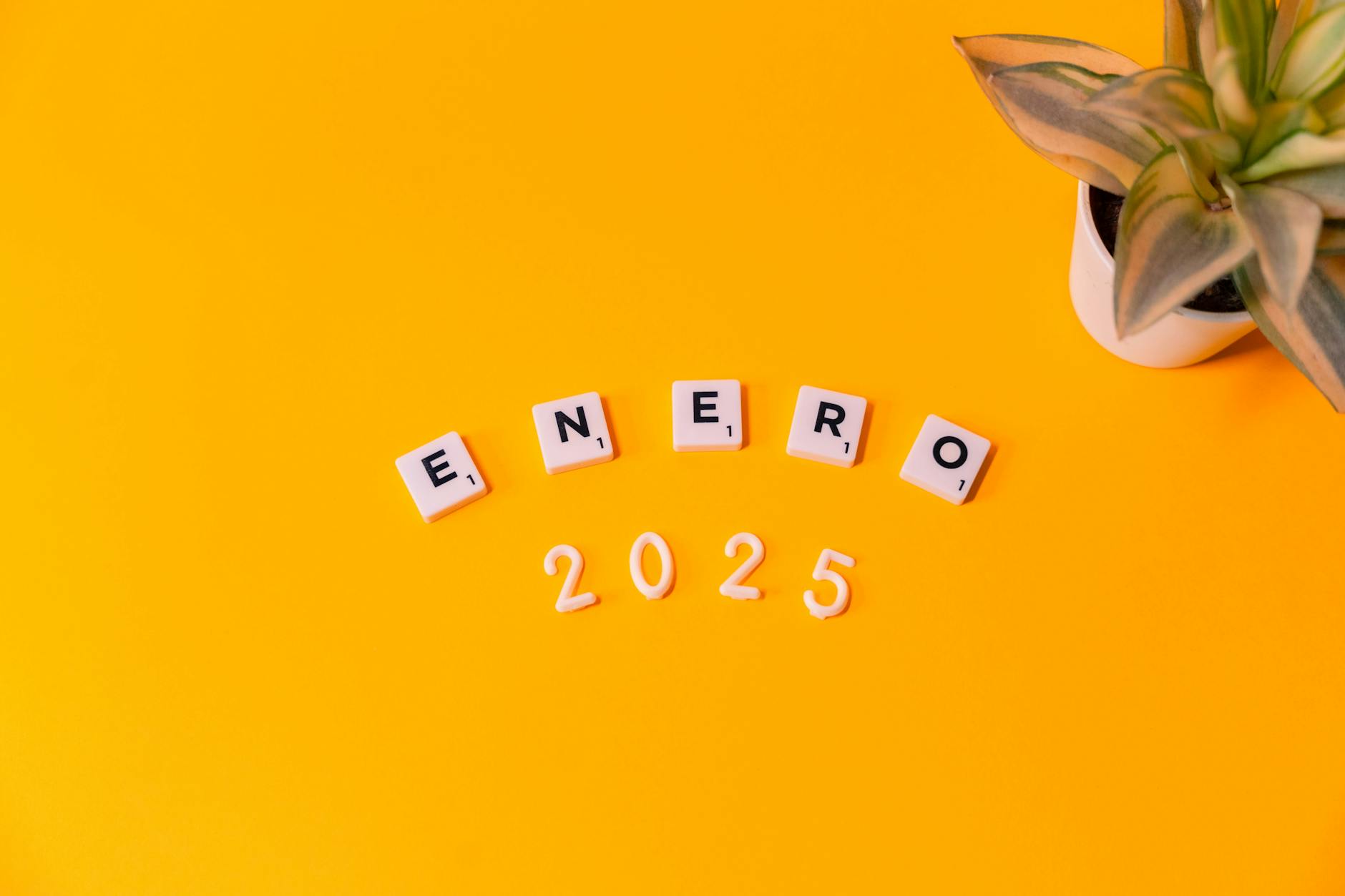 Analiza budżetu Radzionkowa na rok 2025, pokazująca dochody i wydatki miasta.