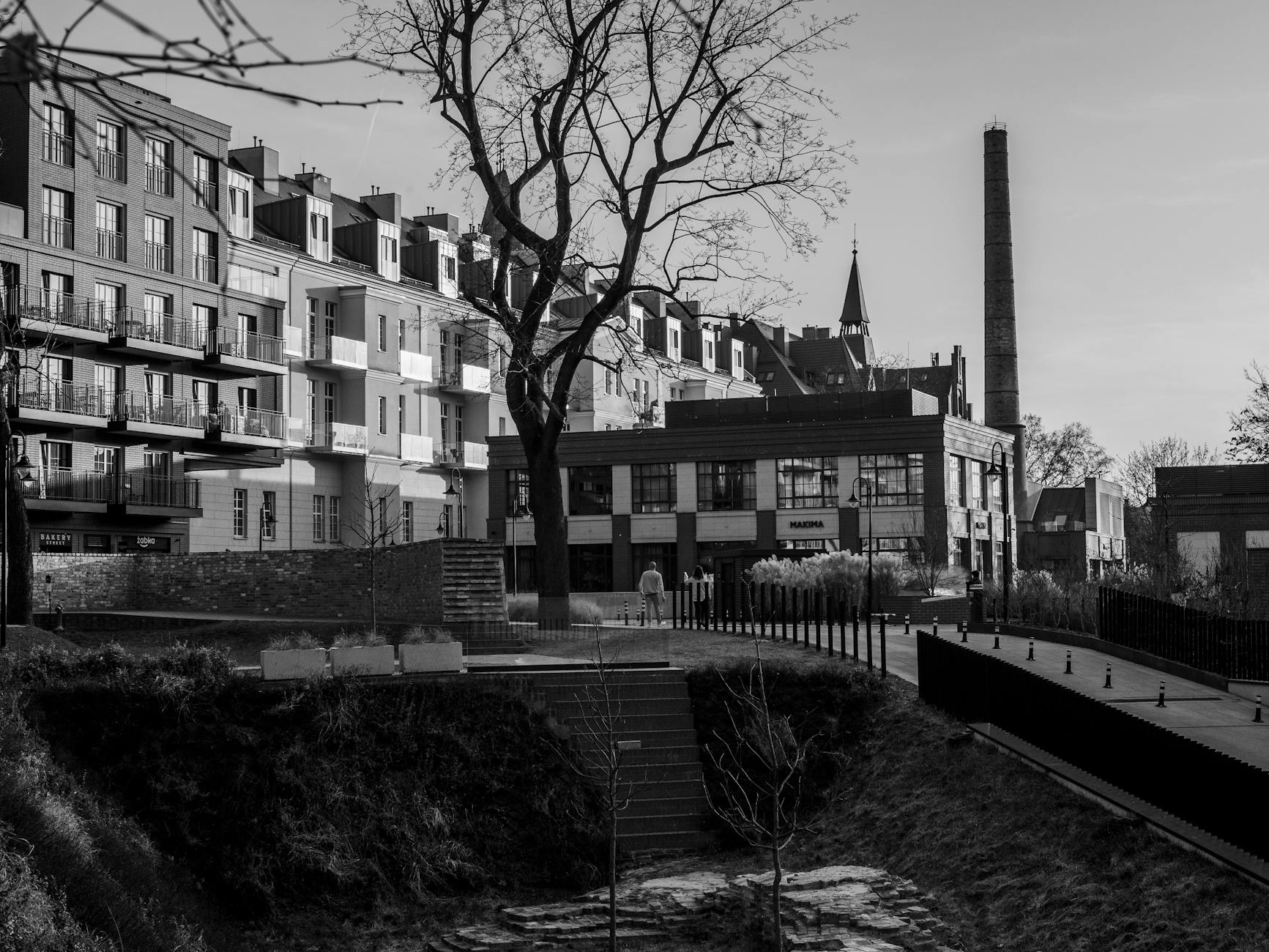 Radzionków ogłasza przetarg na Zielony zakątek przy Knosały